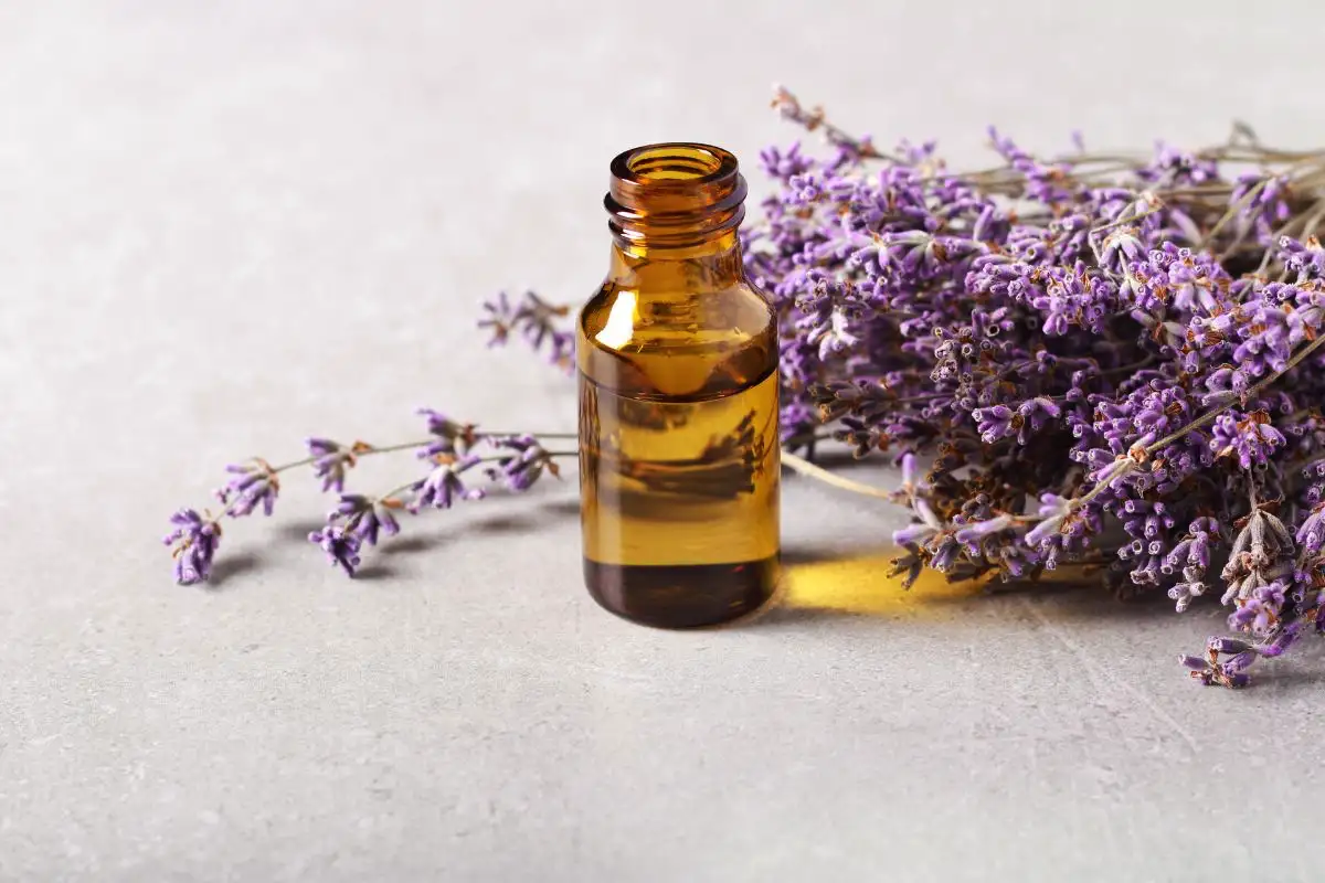 Taistele hiusten sähköistymistä vastaan: finniläinen suihke