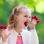 Marjat jälkiruoan sijaan: Suomalainen välipala Oulussa – terveellinen tapa hallita painoa