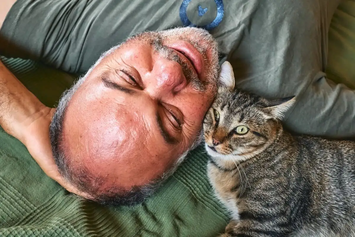 Miksi Kissa Seuraa Sinua Koko Huoneiston Läpi: 9 Syytä Tällaiselle Käyttäytymiselle