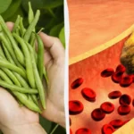 Mustapavut – Paras Hiilihydraatti Kolesterolin Laskemiseen: Ravitsemusterapeutin Suositus – Lisää Ruokavalioon Tänään Ja Tunne Ero