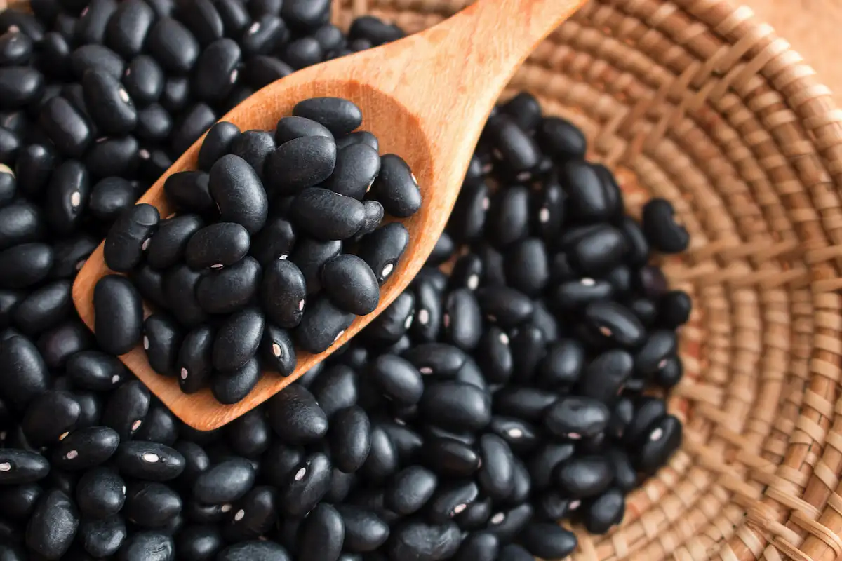 Mustapavut – Paras Hiilihydraatti Kolesterolin Laskemiseen: Ravitsemusterapeutin Suositus – Lisää Ruokavalioon Tänään Ja Tunne Ero
