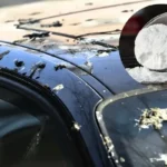 Natriumbikarbonaatti kakkahotkuihin autossa: tehokas kotikonsti puhtaaseen pintaan