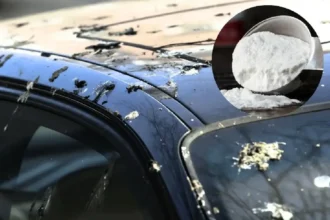 Natriumbikarbonaatti kakkahotkuihin autossa: tehokas kotikonsti puhtaaseen pintaan