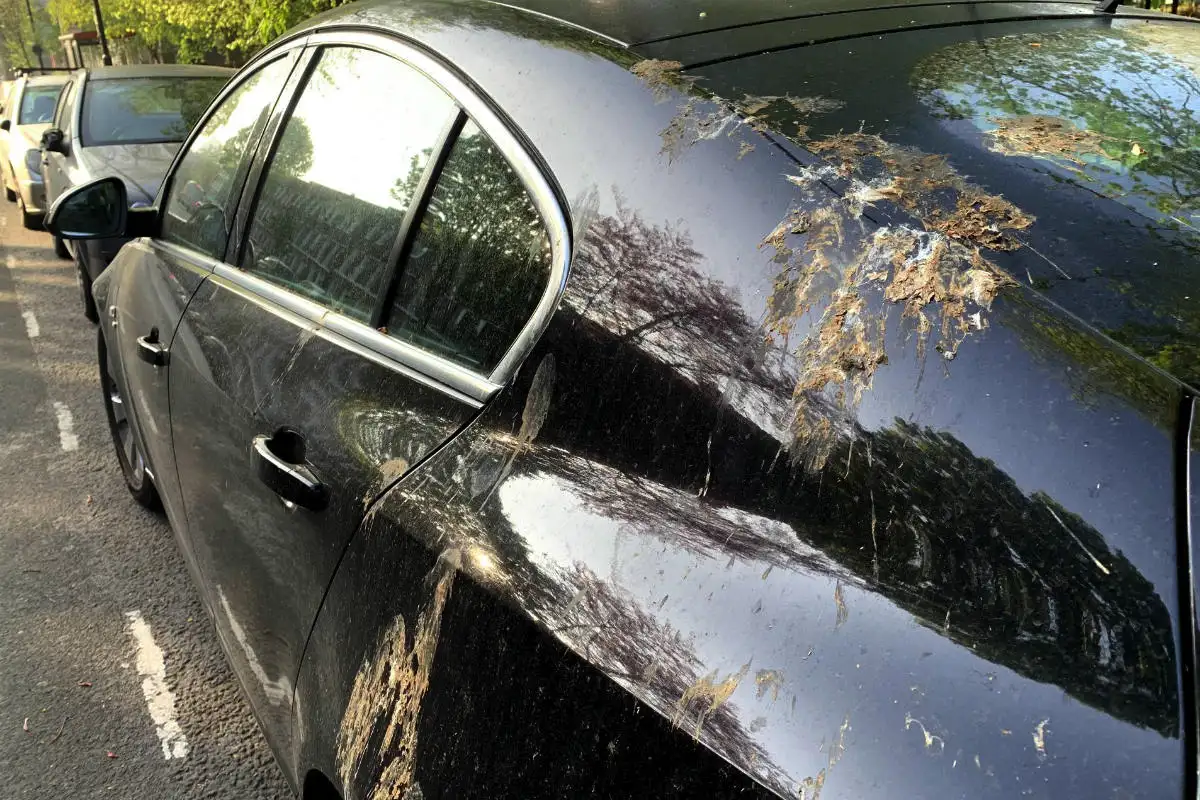 Natriumbikarbonaatti kakkahotkuihin autossa: tehokas kotikonsti puhtaaseen pintaan