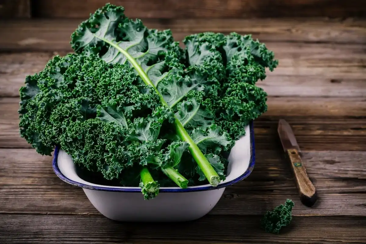 Nivelterveys: 10 ruokaa, jotka vahvistavat polviasi ja helpottavat arkea