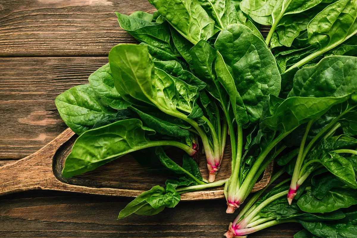 Nivelterveys: 10 ruokaa, jotka vahvistavat polviasi ja helpottavat arkea