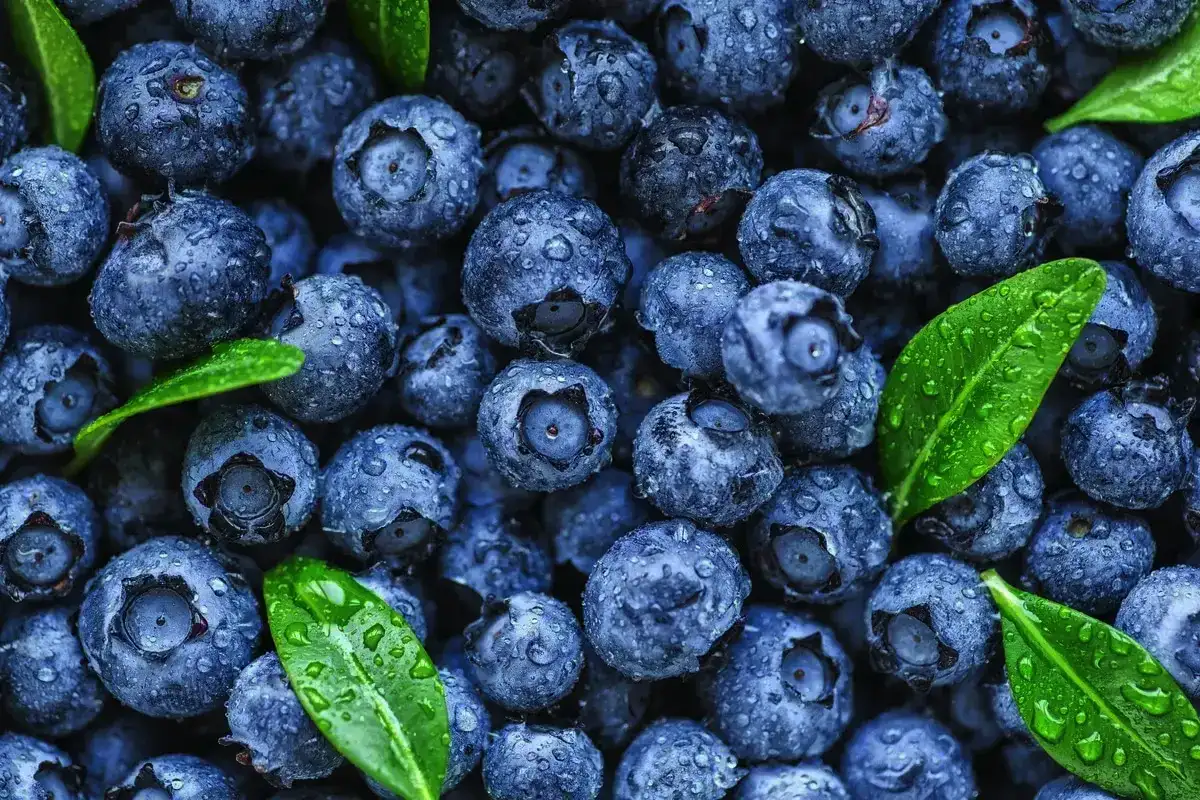 Nivelterveys: 10 ruokaa, jotka vahvistavat polviasi ja helpottavat arkea