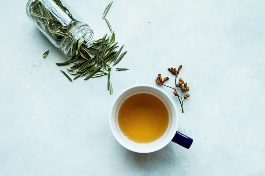 Oliivipuun lehtien infuusio: Terveellinen juoma, mutta mitä tiede sanoo?