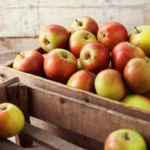 Omenoiden säilytys jääkaapissa: Näin pidät ne mehukkaina ja rapeina viikkoja