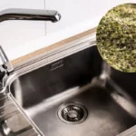 Oregano torjunta-aineena: Näin pidät keittiösi vapaana kutsumattomista vieraista