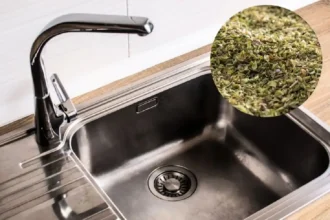 Oregano torjunta-aineena: Näin pidät keittiösi vapaana kutsumattomista vieraista