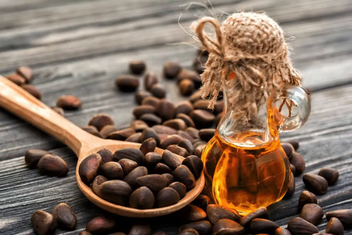 Päänahan hieronta kedriöljyllä: Suomalainen syysrituaali hiusten elinvoimaksi