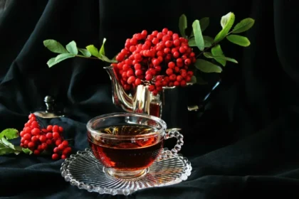 Piiparjajuuritee: Suomalainen lokakuun juoma immuniteetin tueksi