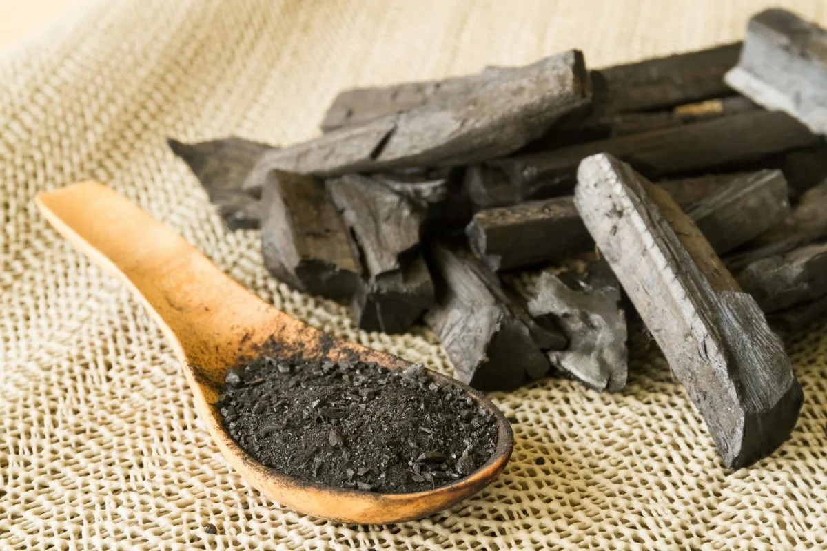 Puun hiili hajujen poistoon: Raikasta jääkaappisi suomalaisella kikalla