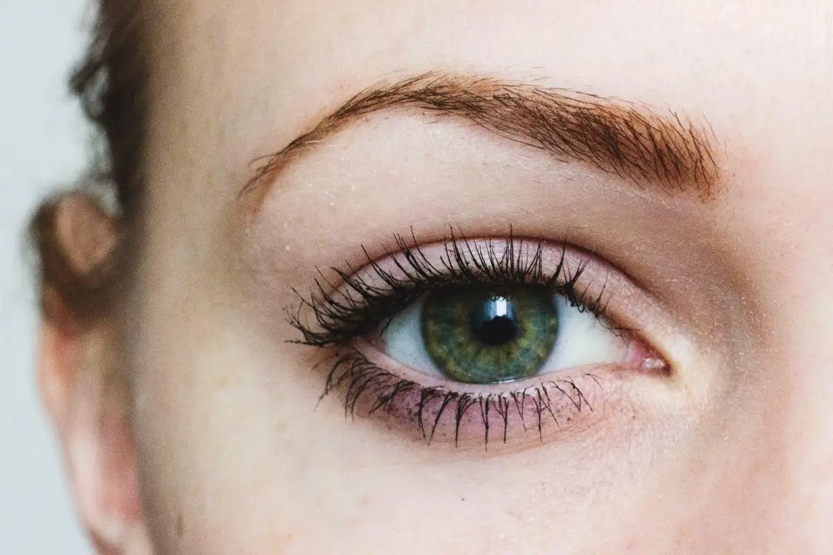 Hillitty korostus: suomalainen ripsiväri Lapissa