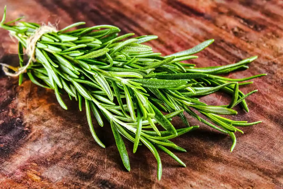 Rosmariini öljyssä ennen paistamista: Miksi tämä kikka muuttaa ruokasi