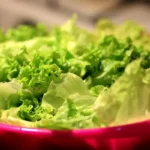 Salaatin säilytys: Suomalainen liffihakki Tampereelta pitää salaatin tuoreena yli 60 päivää