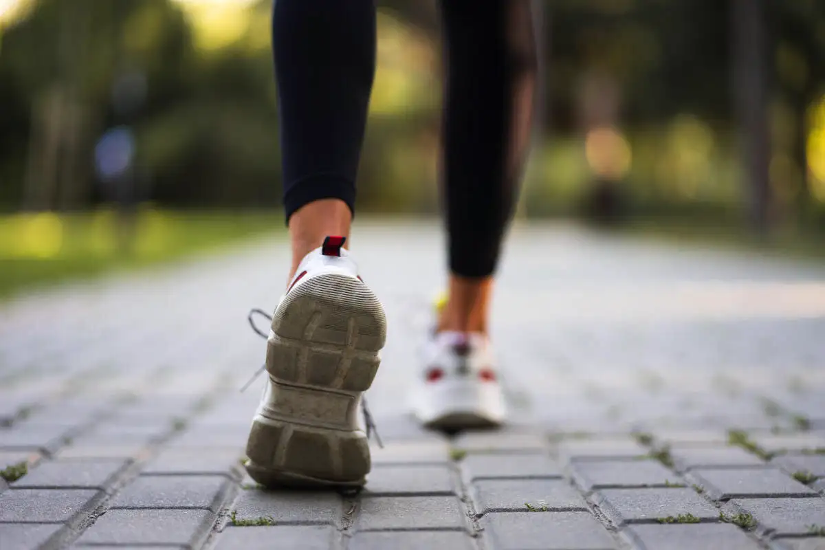 Helppo Tapaus: 10 000 Askelta Lumessa Sauvojen Kanssa – Polta 500 Kaloria