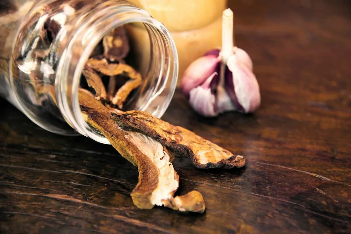 Sienten kuivatus langalla: Helppo suomalainen liffihakki talvisiin herkkuihin