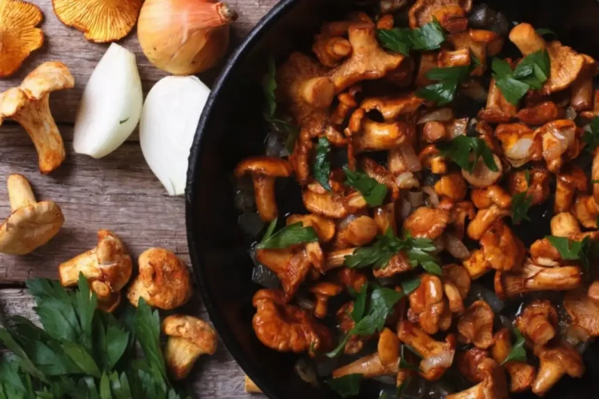 Sienten paistaminen: Näin saat kantarelleista täydellisen makuelämyksen