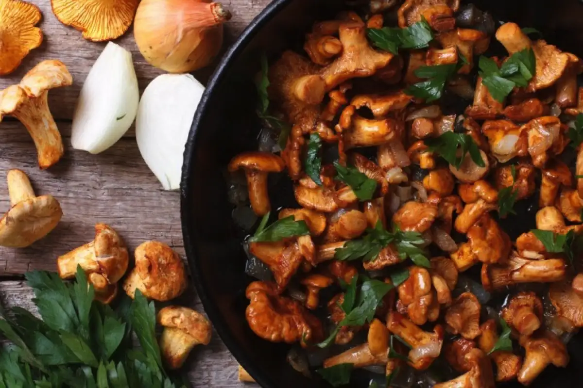 Sienten paistaminen: Näin saat kantarelleista täydellisen makuelämyksen