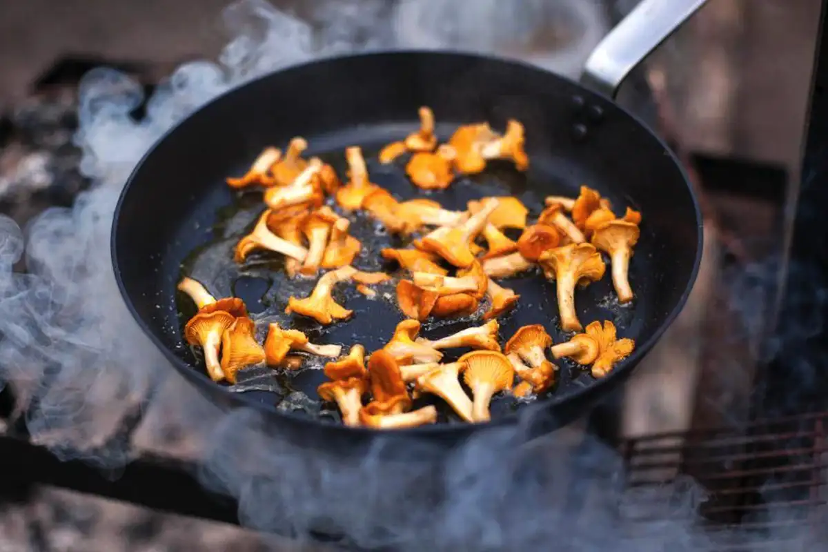 Sienten paistaminen: Näin saat kantarelleista täydellisen makuelämyksen