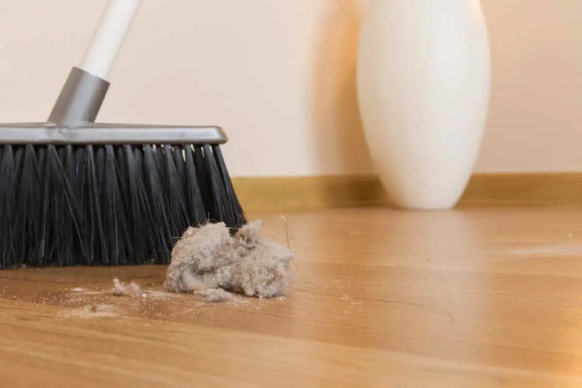 Vain kampa riittää: Näin pidät harjan ja mopin puhtaana vaivattomasti