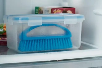 Pakastin salaisuus: Näin pidät siivousharjat puhtaina ja bakteerivapaana