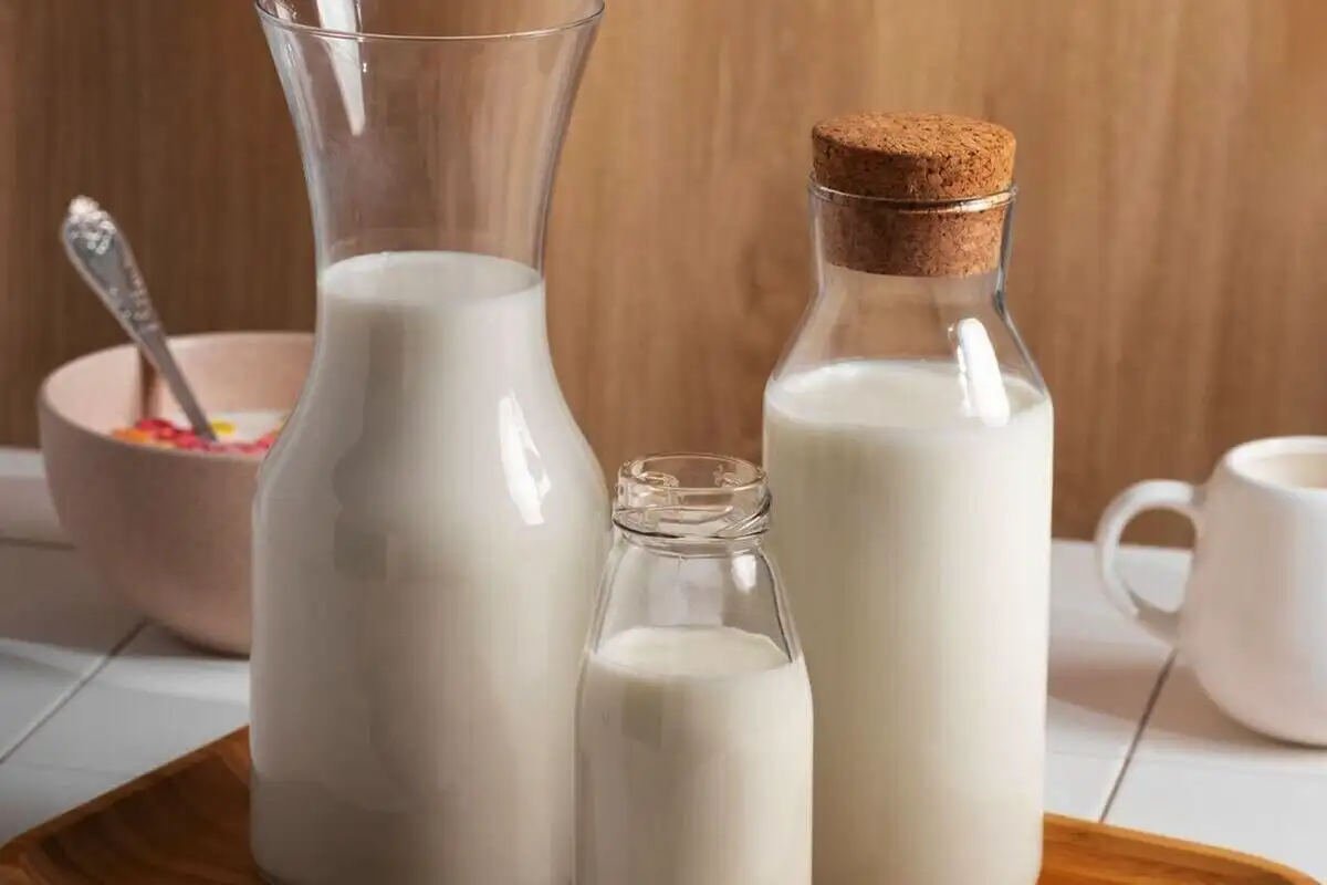 Lapin Salaisuus: Maito Pysyy Tuoreena 14 Päivää Ilman Jääkaappia