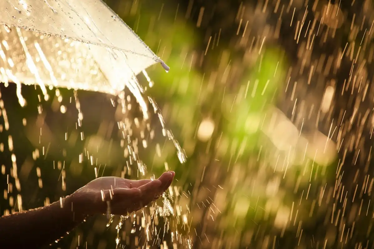 Sateet lumo Suomessa: Näin selviät 80 mm syyssateista