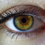 Suomalainen valohoito: Lamput rytmiin Rovaniemellä