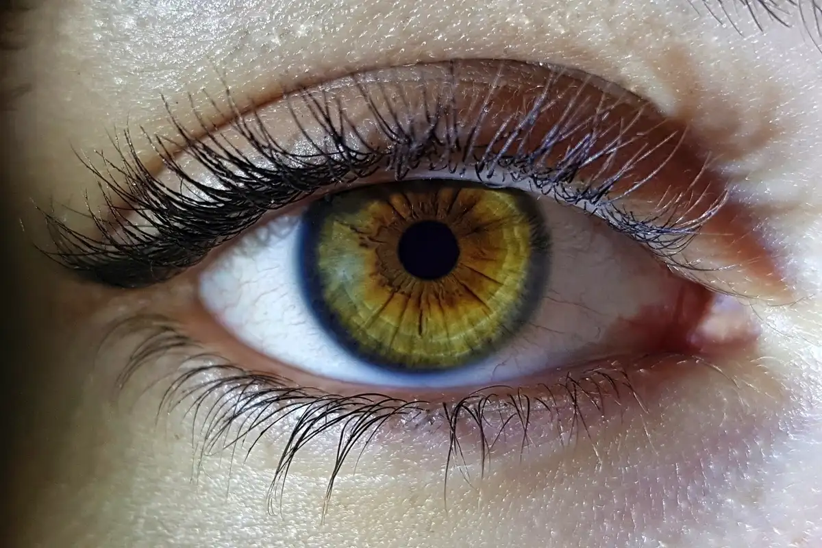 Suomalainen valohoito: Lamput rytmiin Rovaniemellä