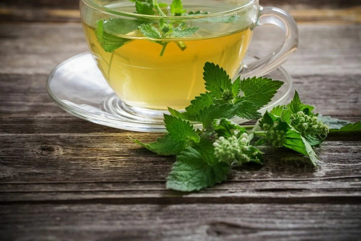 Syksyinen sitruunamelissatee: Suomalainen rituaali rauhallisiin iltoihin