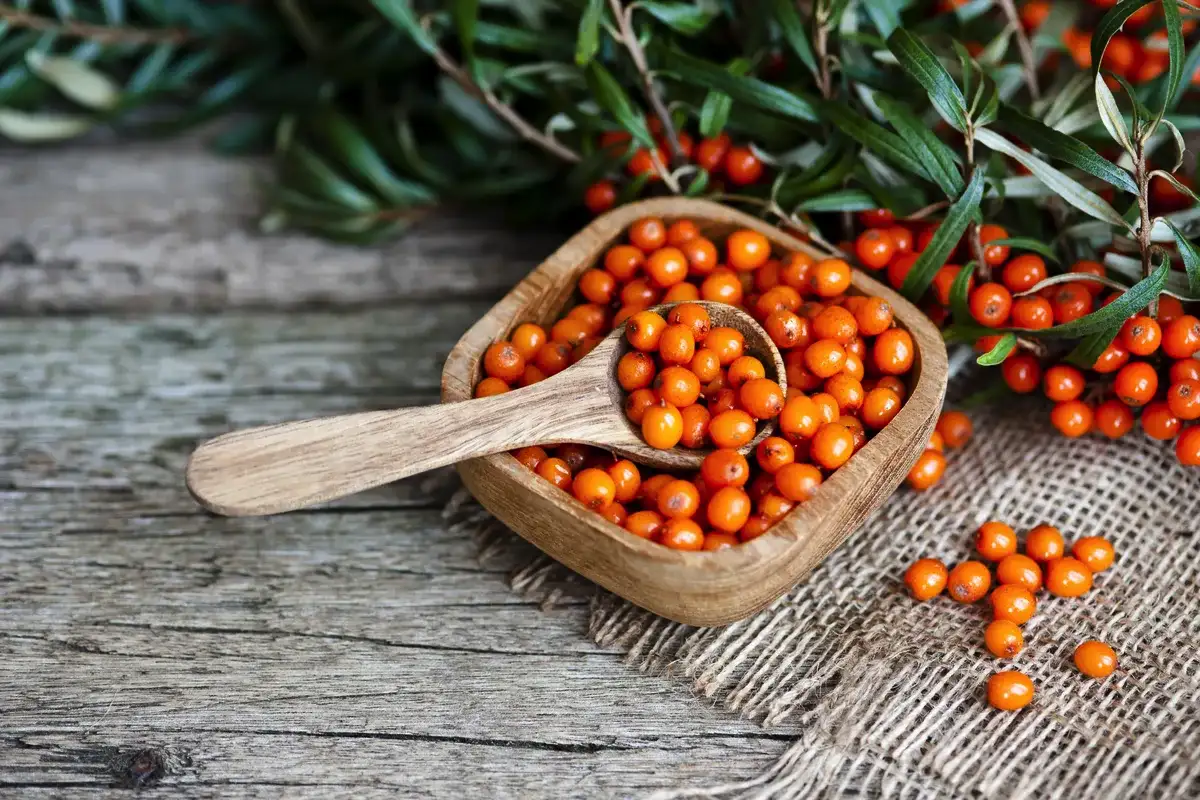 Tyrnin hyödyt: Voiko tämä superhedelmä suojata flunssalta?