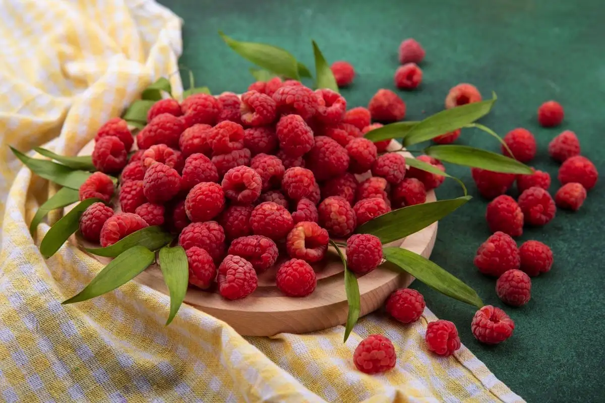 Vadelma-inkiväärihauduke: Suomalainen lämmittäjä syksyyn