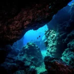 Sata vai satoja? Tieteentekijät paljastivat yllättävän salaisuuden Tyynen valtameren syvyyksistä!