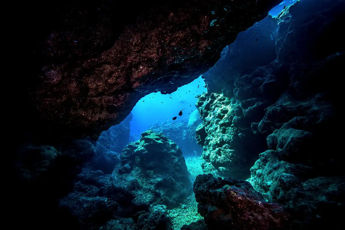 Sata vai satoja? Tieteentekijät paljastivat yllättävän salaisuuden Tyynen valtameren syvyyksistä!