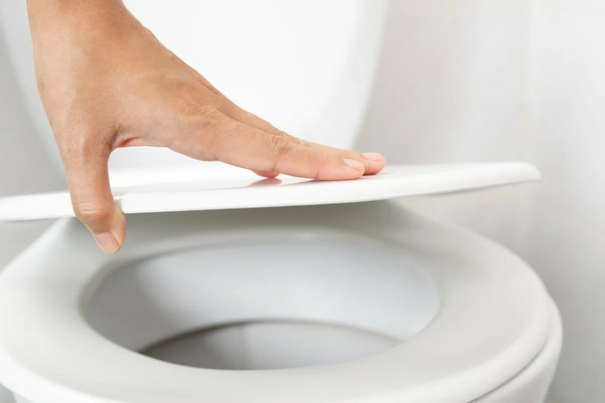 Tarvitseeko wc istuimen kantta sulkea, kun sitä ei käytetä? Asiantuntijoiden vastaus