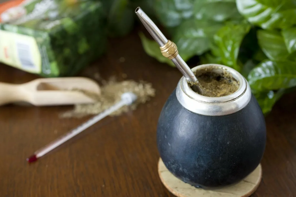 Kuinka hyödyntää yerba maten edut painonpudotuksessa terveellisesti