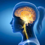 Kaksi lukemaa, jotka ratkaisevat aivojesi iän – tuore tutkimus paljasti karun totuuden