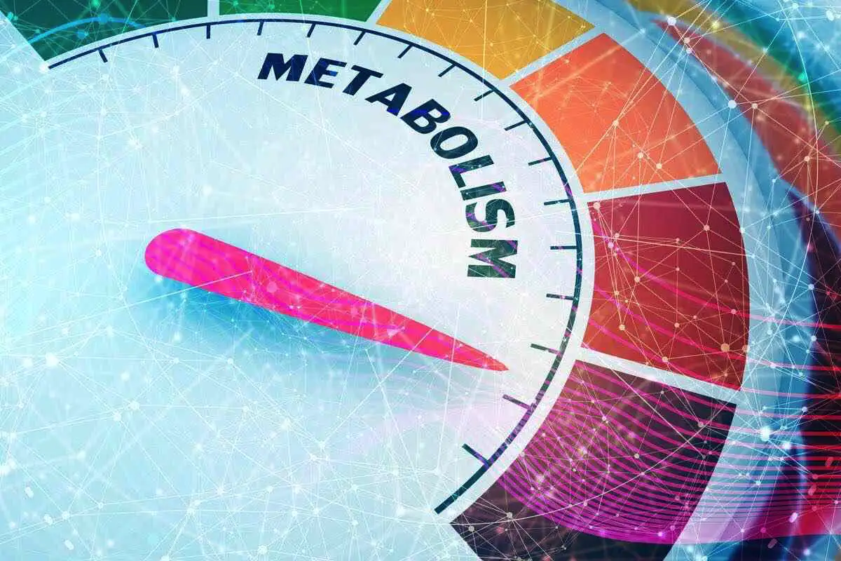 Hidas aineenvaihdunta varoittaa – 5 merkkiä ja tehokkaat aktivointikeinot