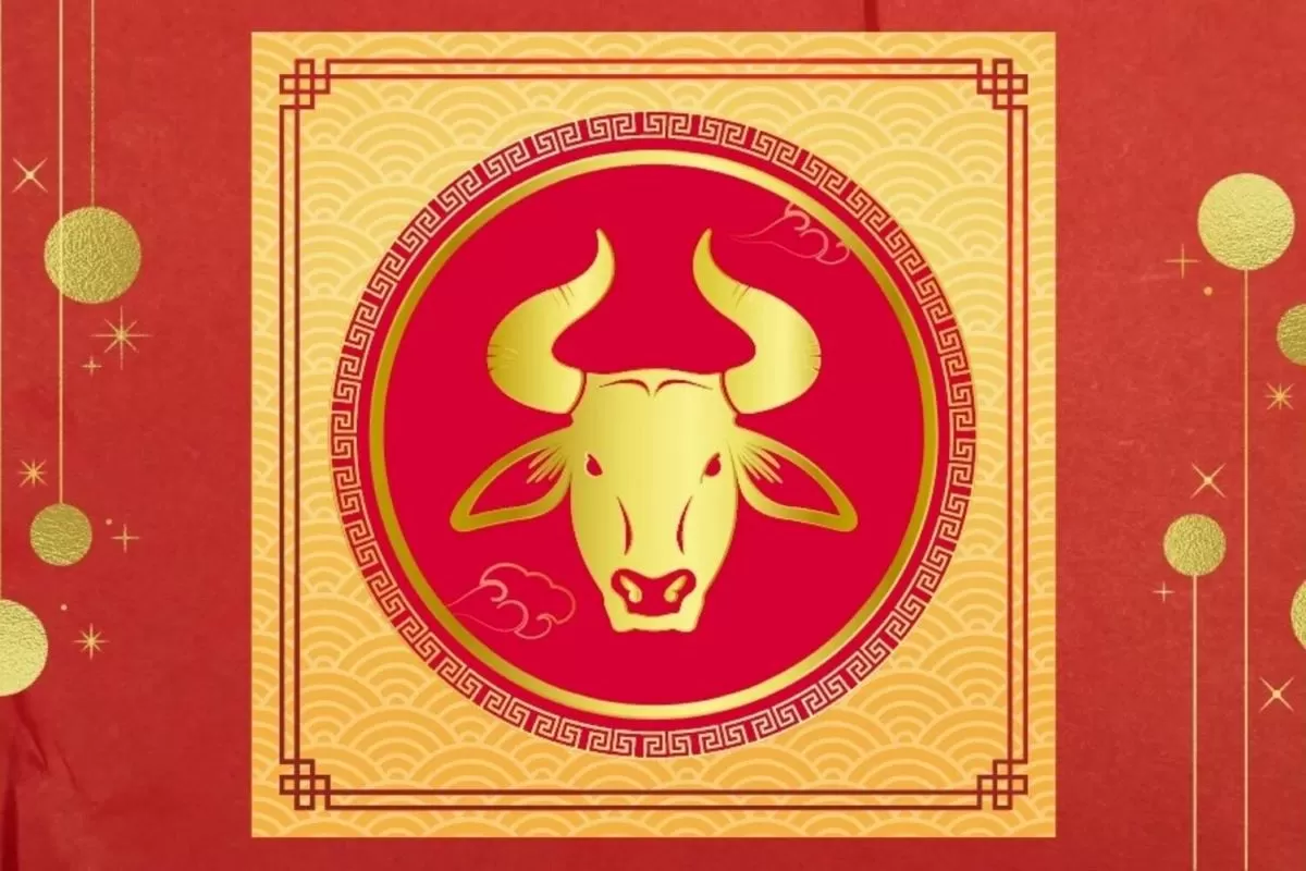 Nouseva Kuu Vesimiehessä tuo rahaa ovista ja ikkunoista – nämä 3 kiinalaista horoskooppieläintä saavat vain hyviä uutisia loppuvuonna 2025!