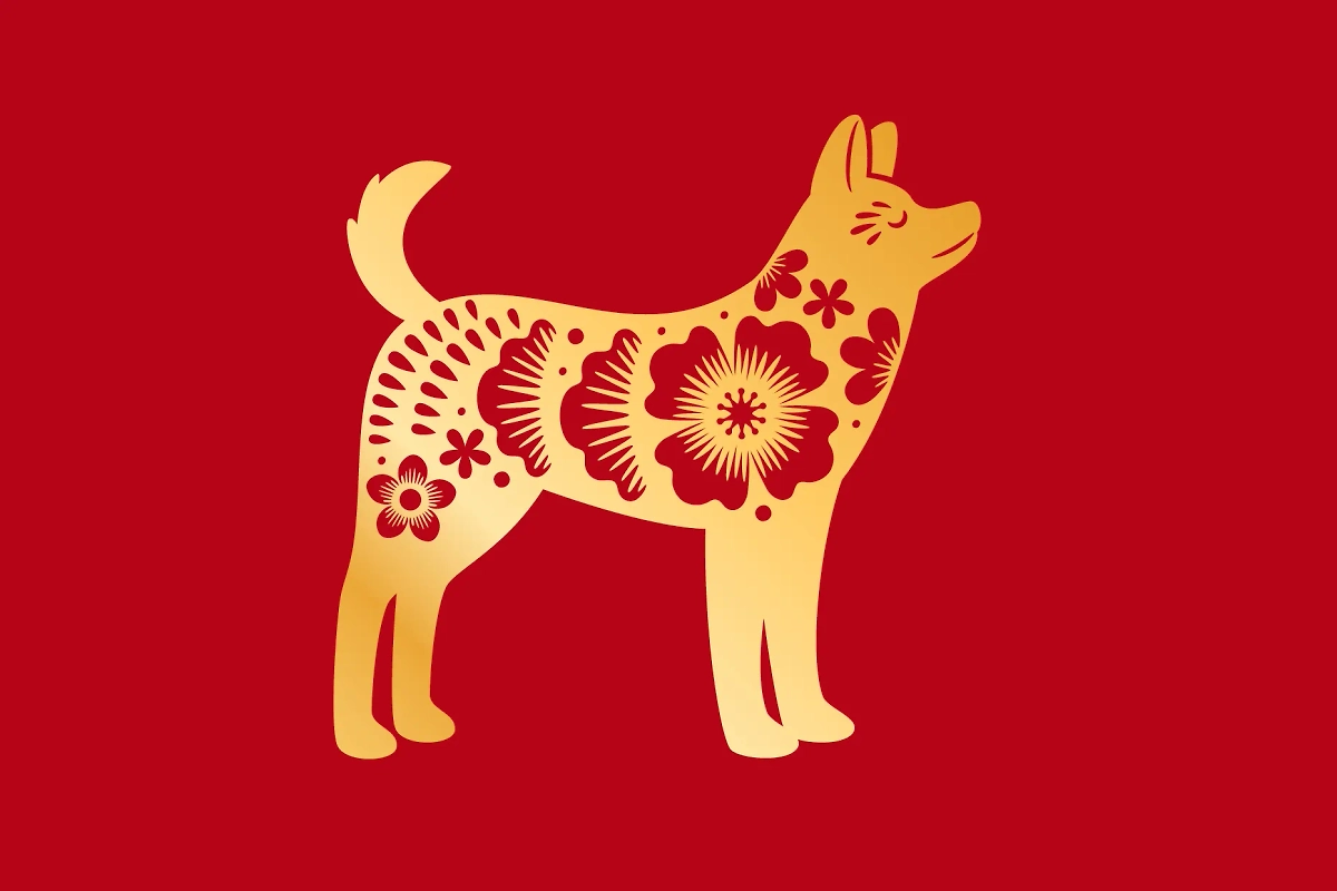 Nouseva Kuu Vesimiehessä tuo rahaa ovista ja ikkunoista – nämä 3 kiinalaista horoskooppieläintä saavat vain hyviä uutisia loppuvuonna 2025!