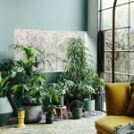 Viisi täydellistä huonekasvia makuuhuoneeseen: kauneutta, puhdasta ilmaa ja parempaa unta – ilman mitään myrkkyjä tai jatkuvaa hoitoa