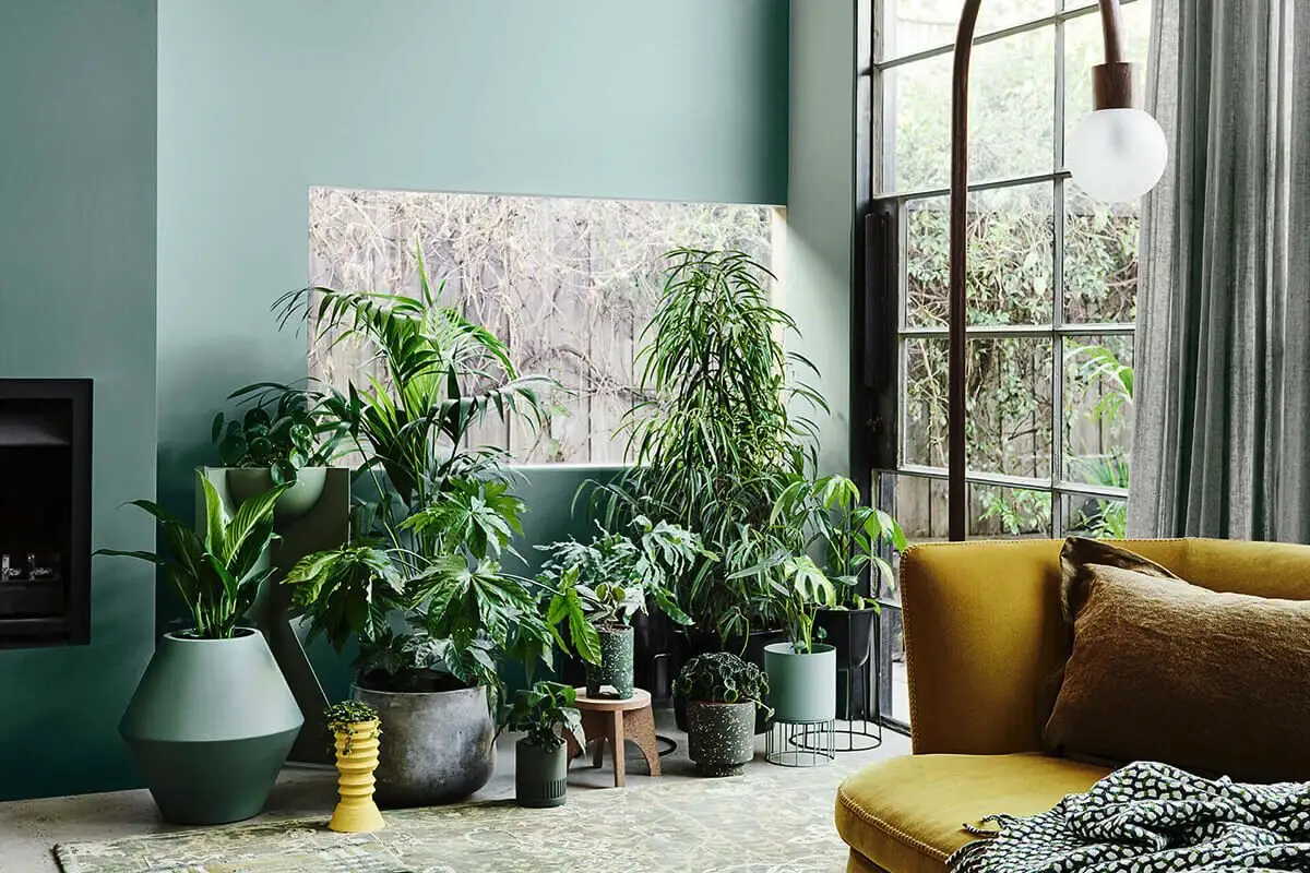 Viisi täydellistä huonekasvia makuuhuoneeseen: kauneutta, puhdasta ilmaa ja parempaa unta – ilman mitään myrkkyjä tai jatkuvaa hoitoa