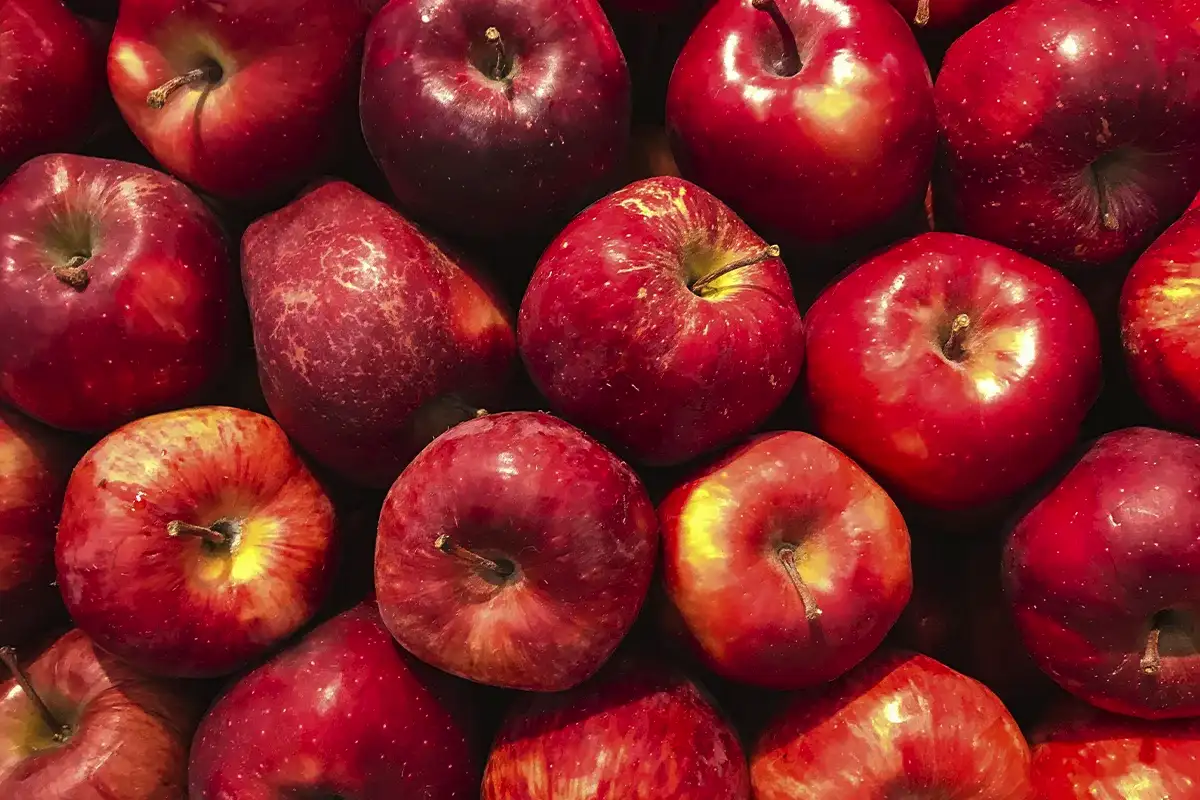 5 hedelmää immuunijärjestelmän vahvistamiseksi ennen talvea – japanilaisen ravitsemusterapeutin neuvot