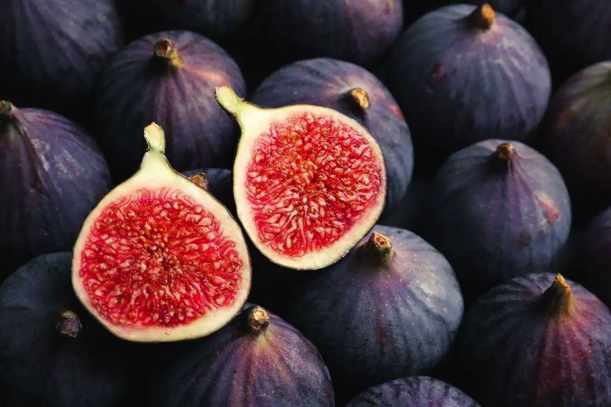 5 hedelmää immuunijärjestelmän vahvistamiseksi ennen talvea – japanilaisen ravitsemusterapeutin neuvot