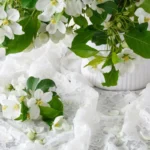 Keitä jasmiininkukkia kotona joka ilta – tämä 5 minuutin rituaali muuttaa elämäsi rauhallisemmaksi kuin koskaan