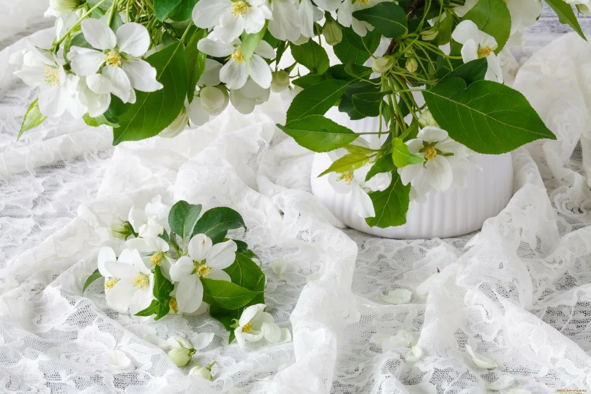 Keitä jasmiininkukkia kotona joka ilta – tämä 5 minuutin rituaali muuttaa elämäsi rauhallisemmaksi kuin koskaan