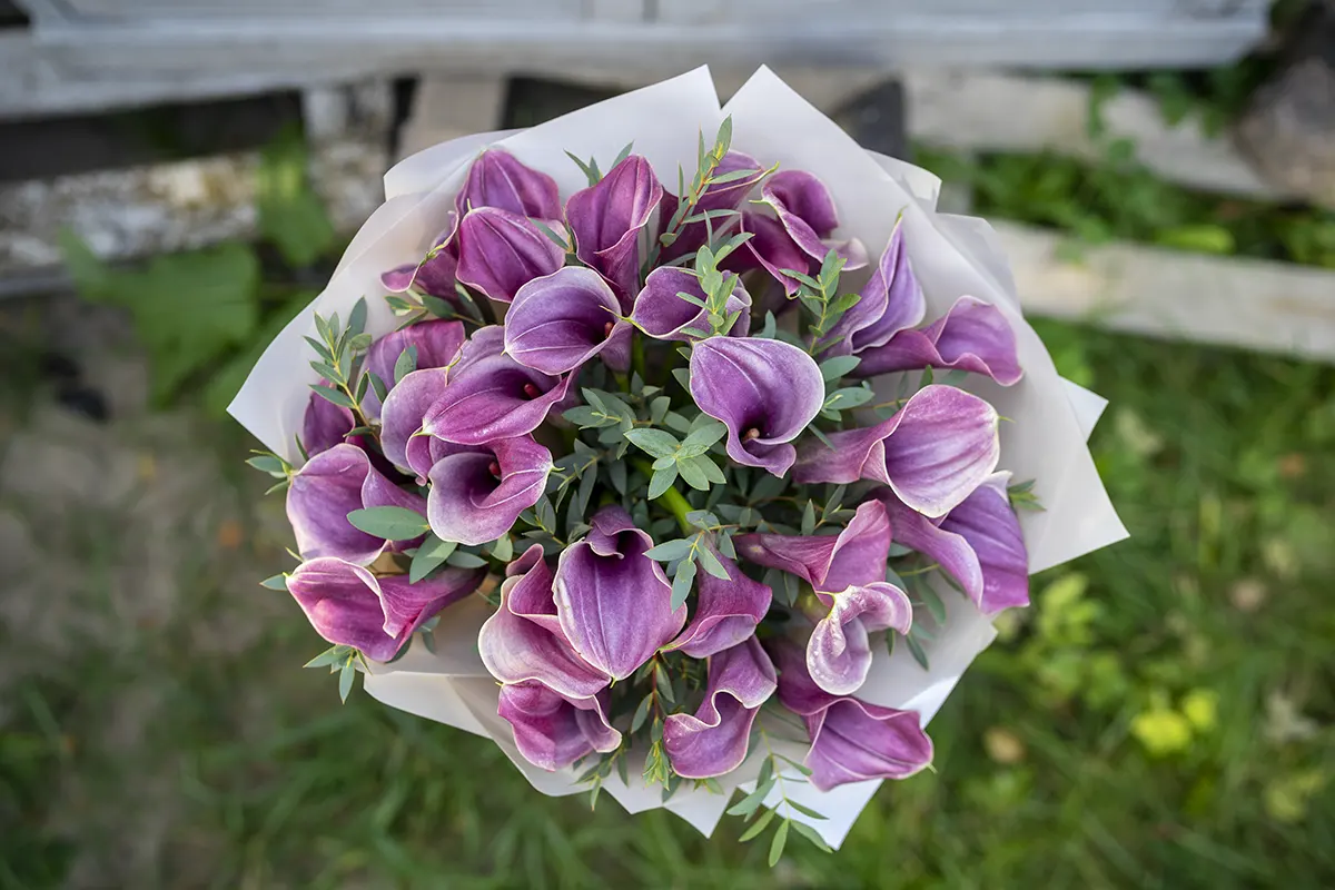 Näitä kukkia ei kannata ikinä antaa lahjaksi – vaikka ne olisivat miten upeita tahansa: energia kääntyy vastaan ja voi tuoda vakavaa epäonnea